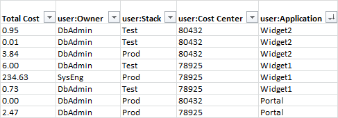 
            Partial cost allocation report showing your tag names, which are also called
                keys, as columns.
        