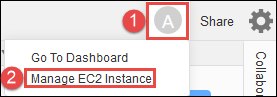 
                           Choosing to manage the instance from the AWS Cloud9 IDE
                        