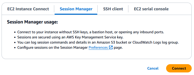 Die Schaltfläche „Verbinden“ auf der Registerkarte Session Manager.