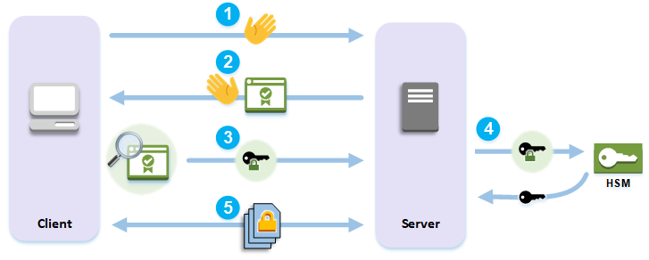 Eine Illustration des TLS-Handshake-Prozesses zwischen Client und Server inklusive kryptographischem Offload an einen HSM.