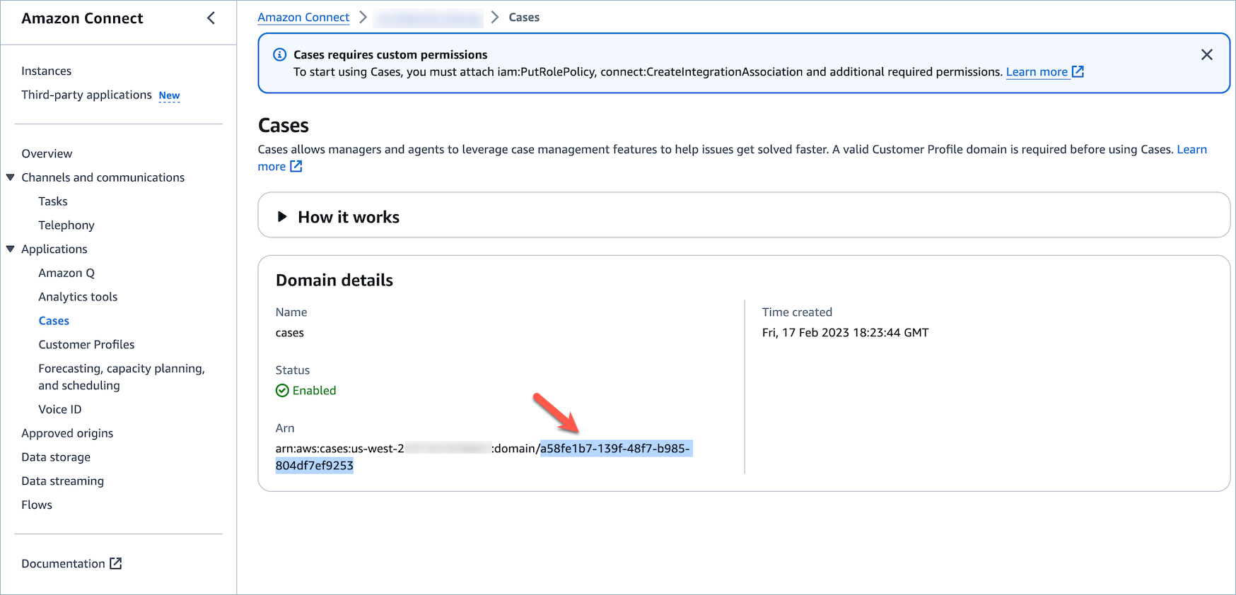 Die Seite „Fälle“, der Abschnitt „Domaindetails“, ein Pfeil, der auf die Domain-ID zeigt.