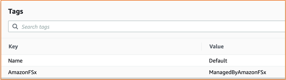 Das Tags-Panel in der FSx Amazon-Konsole zeigt Schlüssel und die zugehörigen Werte an.