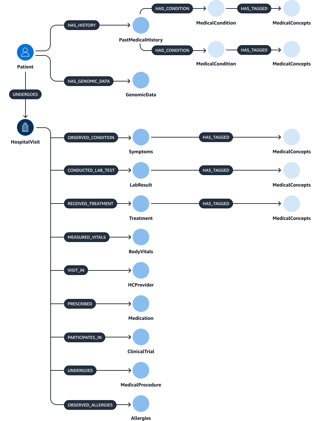 Diagramm mit medizinischem Wissen, das Entitäten ihren Attributen zuordnet.