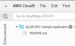 AWS Cloud9Konsole, die den Umgebungsordnerbereich der QLDB DMV Sample Application Environment anzeigt.