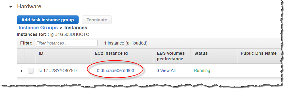 Ein Screenshot, der einen Amazon-EC2-Instance-ID-Wert in der Amazon-EMR-Konsole hervorhebt.