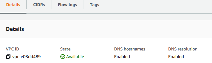 
              Die Registerkarte "DNS Settings" (DNS-Einstellungen)
            