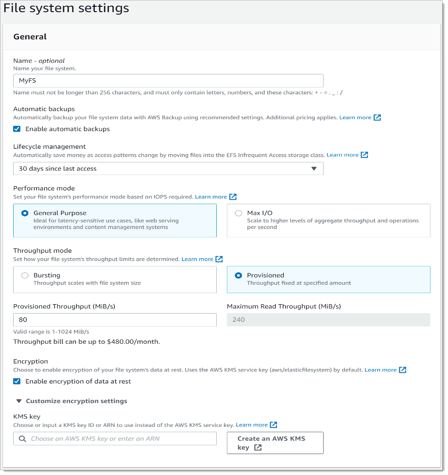 File system settings interface with options for name, backups, lifecycle, performance, throughput, and encryption.