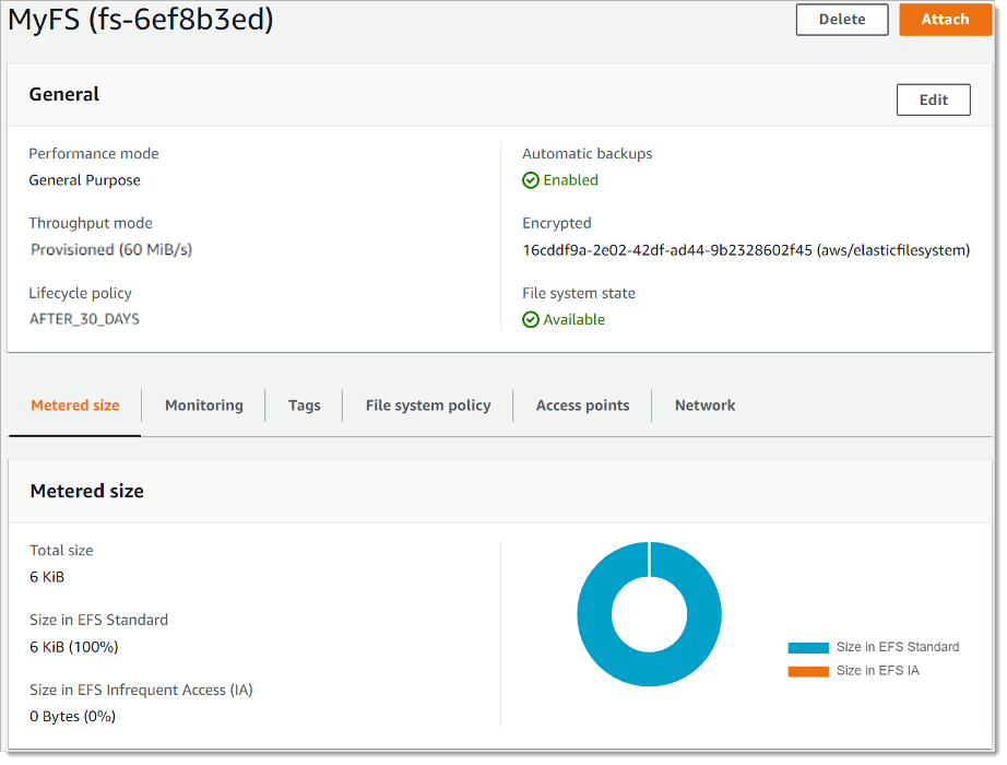 MyFS file system details showing general settings, performance mode, and metered size.