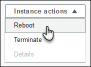 Environment Health page showing the Instance Actions menu for rebooting or terminating unhealthy instances