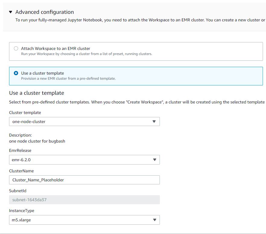 Screenshot of the additional inputs in the Studio user interface when
a user selects a cluster template with parameters.