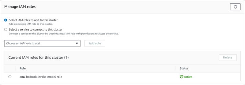 Rol de IAM asociado a su clúster de base de datos.