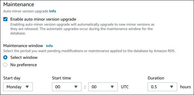 
                Auto minor version upgrade (Actualización automática de versiones secundarias)
            