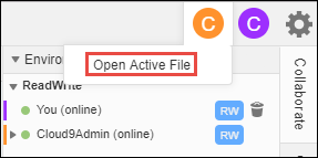 
            Comando Open Active File (Abrir archivo activo) en el IDE de AWS Cloud9
         