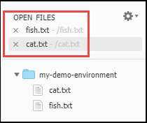 Sección Open Files (Abrir archivos) en la ventana Environment (Entorno)