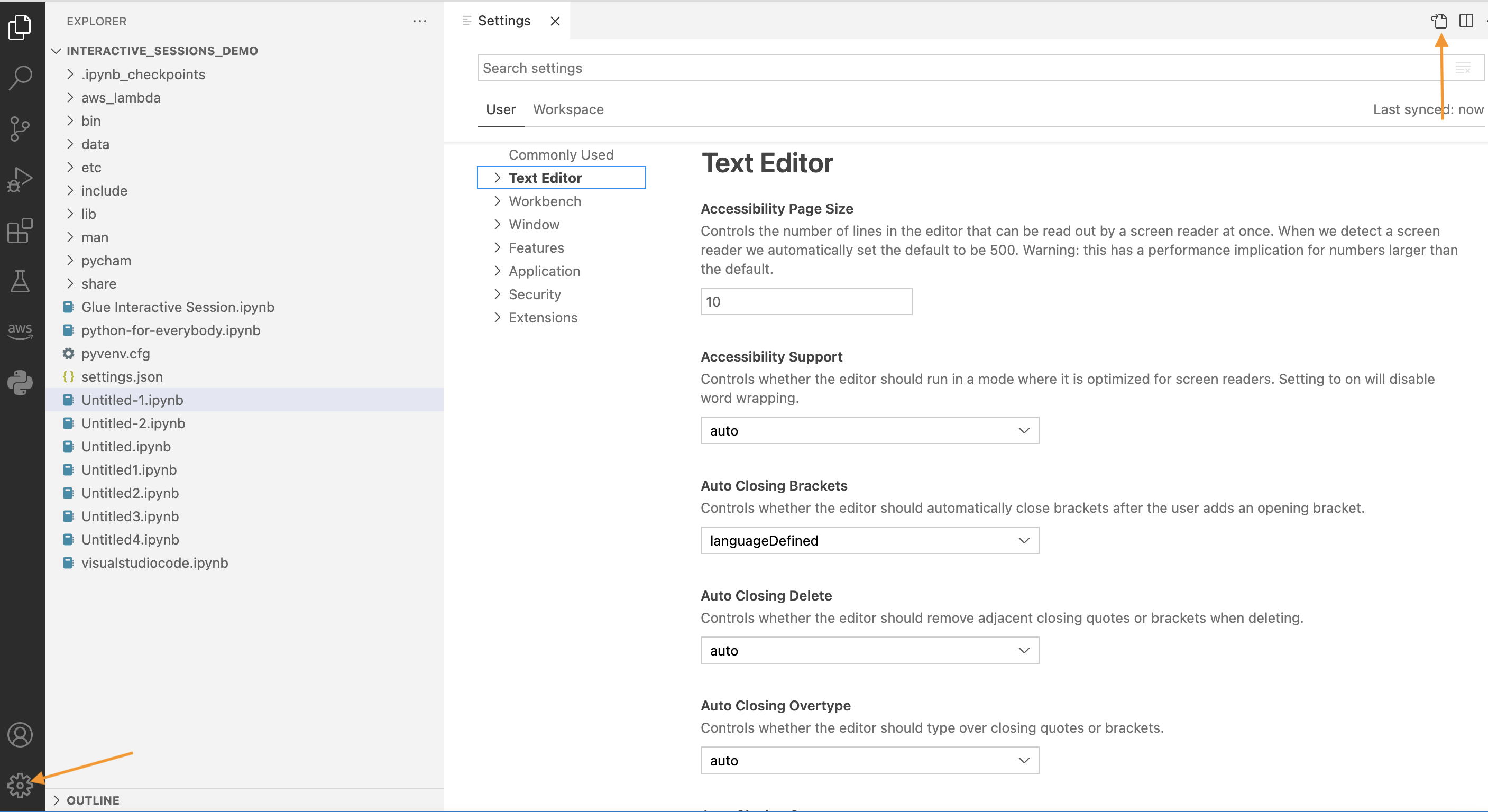 
                  La captura de pantalla muestra la pestaña de configuración, página Text Editor (Editor de texto).
                
