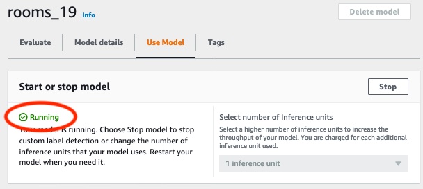 El estado del modelo se muestra como En ejecución, con el botón de parada para detener el modelo en ejecución.