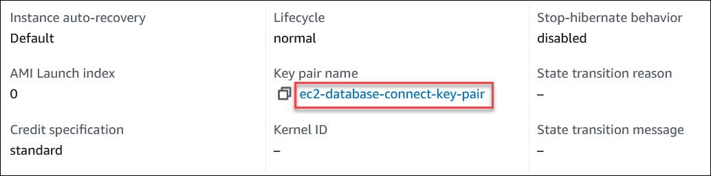 Nom de la paire de clés EC2 dans l'onglet Détails de la page Instances.