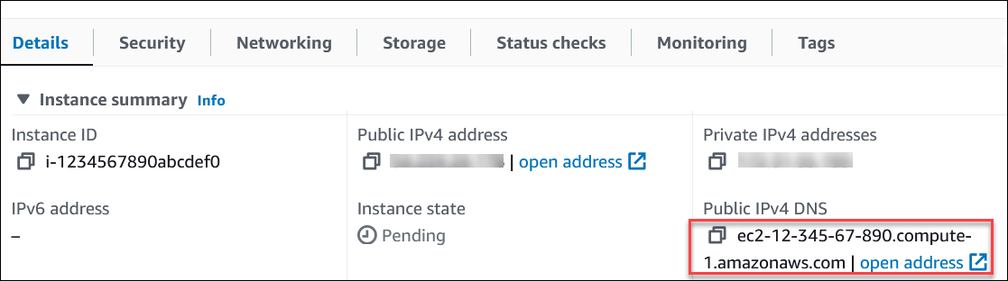 Nom DNS public EC2 dans l'onglet Détails de la page Instances.