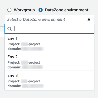 Choisissez un environnement DataZone.