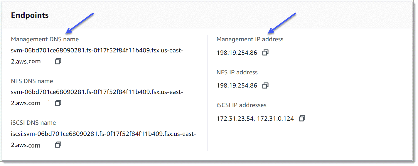 Le panneau Endpoints de la page de détails des machines virtuelles de stockage avec des flèches pointant vers le nom DNS de gestion et l'adresse IP de gestion.