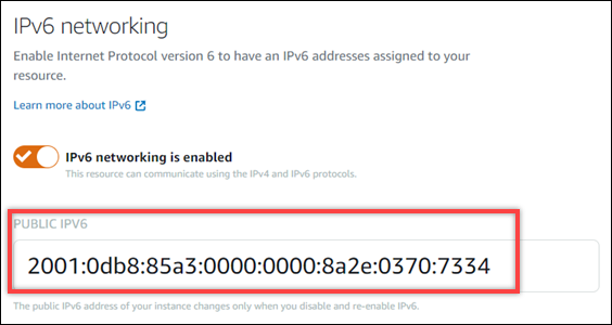 Adresses IPv6 de l'instance sous l'onglet Mise en réseau de la page de gestion de l'instance.