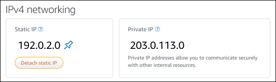 Adresses IP statique d'instance dans l'onglet Mise en réseau de la page de gestion de l'instance.