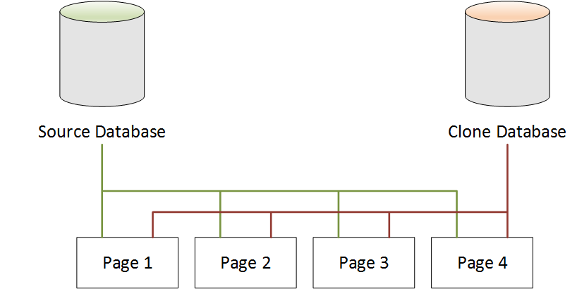 Base de données source Neptune et base de données clone pointant vers les mêmes pages après le clonage.