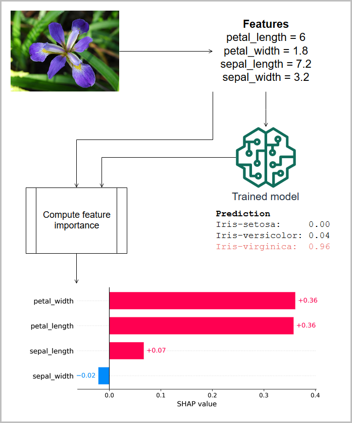 Prédire un iris à l'aide de caractéristiques mesurées et d'attributions SHAP