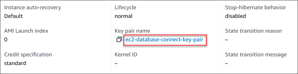 Nama pasangan kunci EC2 di tab Detail halaman Instans.
