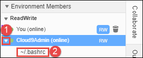 Membuka file anggota tim di IDE AWS Cloud9