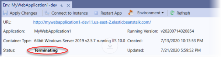 Visual Studio mengambil tangkapan layar Status dan atribut lainnya di tab lingkungan.