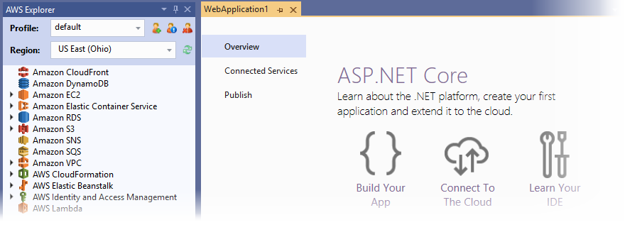 Panel aplikasi pemotretan layar Visual Studio