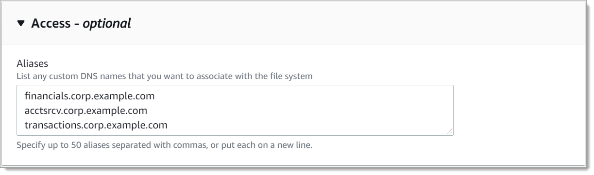 Bagian Akses dari penuntun Buat sistem file digunakan untuk memasukkan alias DNS untuk mengaitkan dengan sistem file baru.