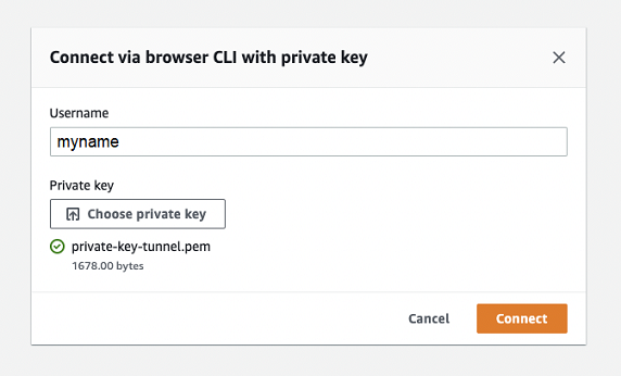 Kotak dialog formulir untuk terhubung melalui CLI browser dengan kunci pribadi, menampilkan bidang nama pengguna dan opsi untuk memilih atau menggunakan file kunci pribadi yang telah dipilih sebelumnya.
