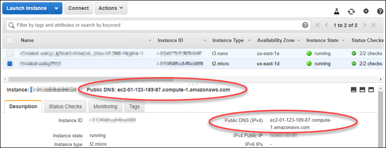 
            DNS publik instans di konsol Amazon EC2.
          