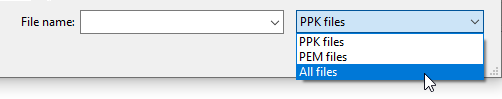 Pengaturan ekstensi file dalam dialog FileZilla terbuka