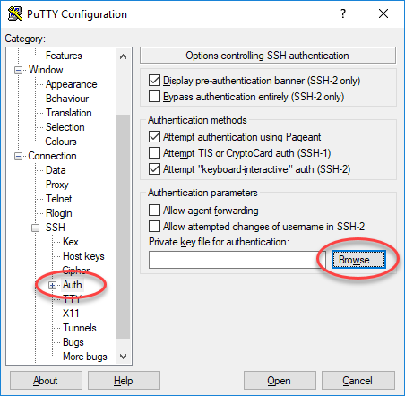 
            Parameter autentikasi PuTTY.
          