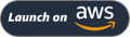 
                            Launch on AWS button
                        