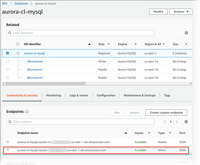 Amazon Aurora endpoints.