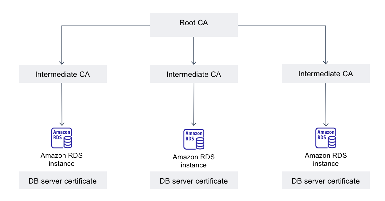 Certificate authority overview