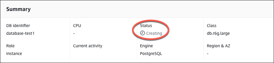 
						DB instance details.
					