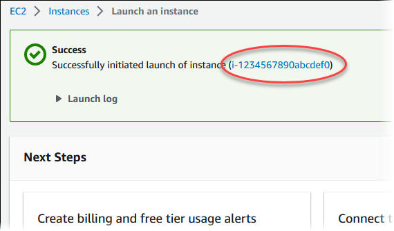 
                    EC2 instance identifier on Launch Status
                        page.
                