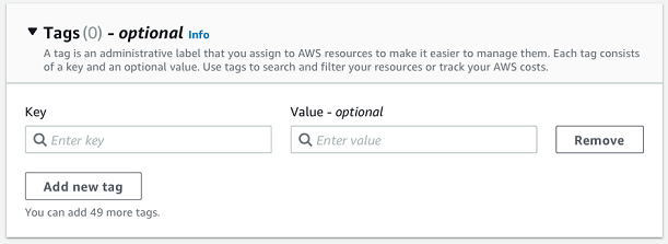 
                            Enter a key and an optional value in the
                                    Tags section.
                        