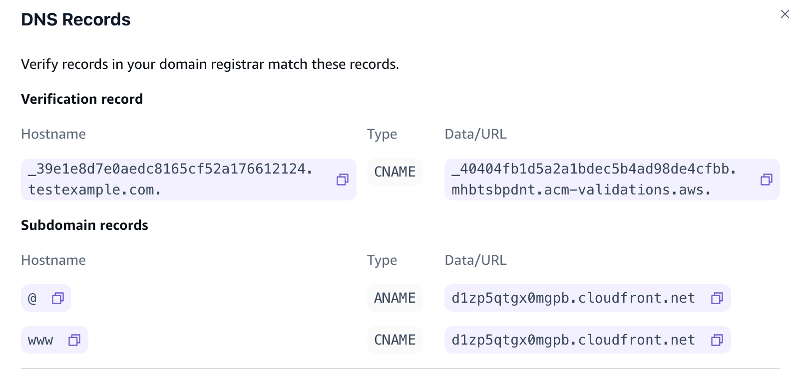 
                  Screenshot of the Update DNS records section in the Amplify
                     console.
               