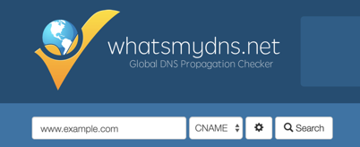 
                     Screenshot of whatsmydns.net where you enter the name of a website to
                        check.
                  