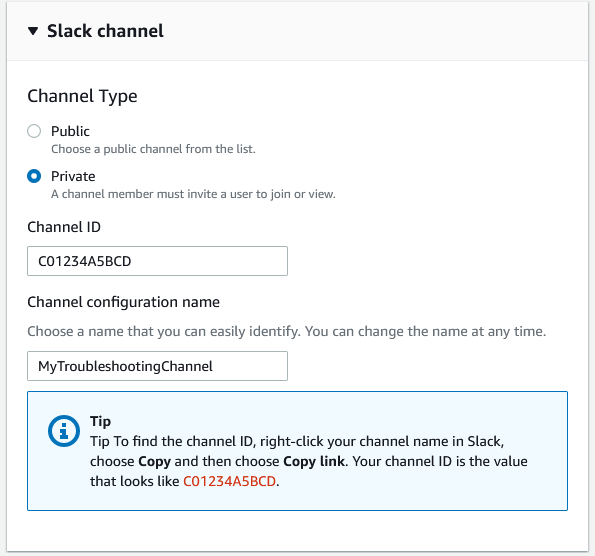 
                    Public and private Slack channels for your Slack channel
                        configuration.
                