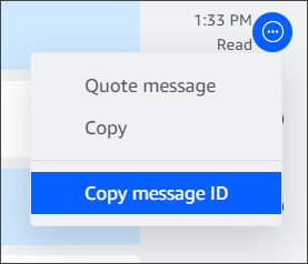 
                        Menu showing the Copy message ID command.
                    