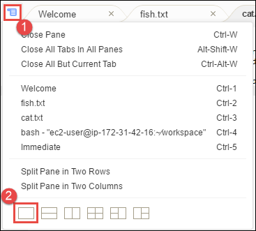 
            Showing a single pane
         