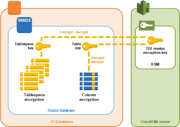 
      Store the Oracle TDE master encryption key in AWS CloudHSM.
    
