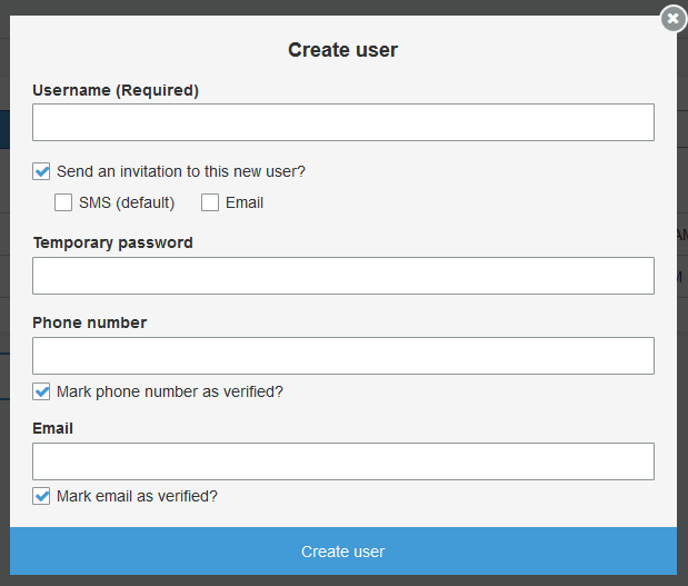 
                Create user form in the Users tab.
              
